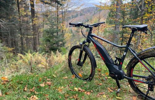 Apartamenty Carpe Diem - Photo 58