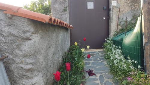 Casinha da Sobreira - Foto 5, Garden