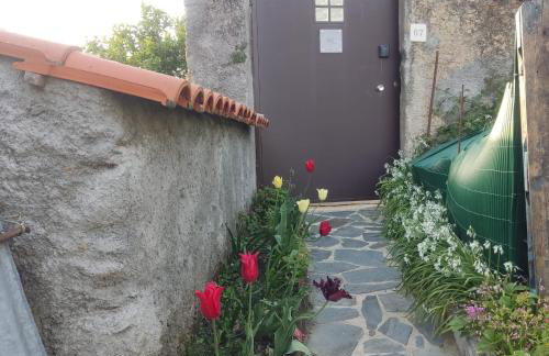 Casinha da Sobreira - Foto 5