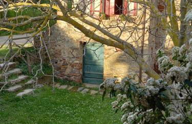 Il Rustico Vicopisano - Foto 7