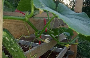 Holiday Home Jadrić - Photo 71