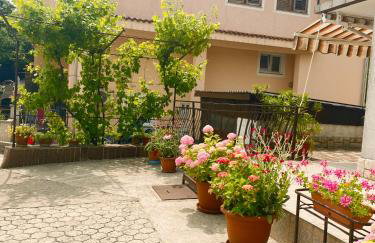 Apartman Mira - Photo 25