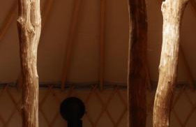 Biały Las Magiczna Stara Chata Puszcza Białowieska - Foto 56