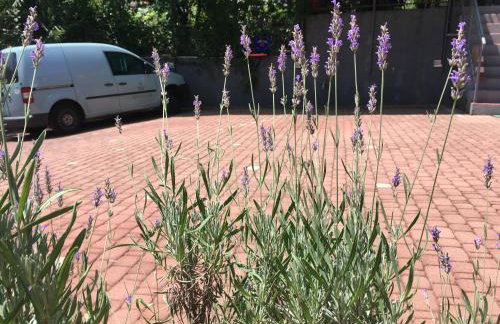 Apartments Paco & Bony - Photo 33