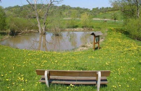 Große Prinzessin - Appartement mit Saunanutzung - Foto 60