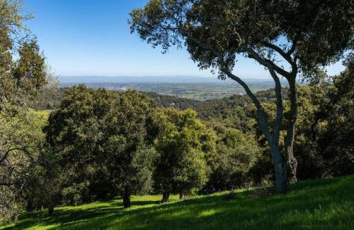 Hilltop Vistas-Private Pool, Firepit, Views - Foto 58