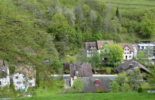 Ferienwohnungen in Schönmünzach - Photo 18