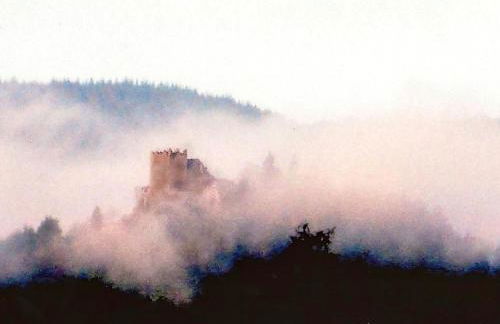 Apartment Perle-Lollipop by Interhome - Foto 26