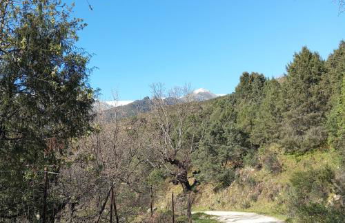 El LABRAO DE ALARDOS - Foto 36