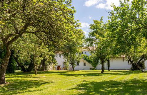 Domaine Des Coutelleries - Foto 53