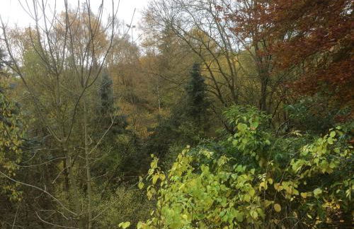 Ferienhaus-stadtkyll Beim Förster - Foto 44