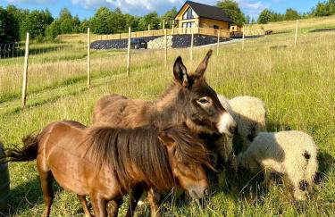 Rajski Zakątek - jeden domek na działce z gorącą balią i mini ZOO - Foto 42