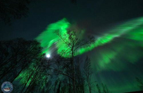 The Fancy Fox - Frontier Village - Foto 53