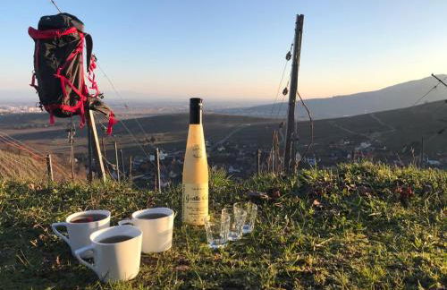 Gîte Les Plains Champs - Foto 17