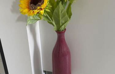 Logement cosy à 15 mn de la gare saint Lazare et 30 mn de l'aéroport Charles de Gaulles - Photo 3