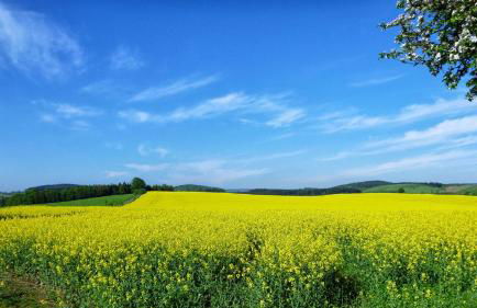 Ferienhaus Drebach - Foto 98