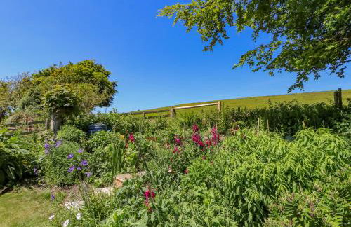 Ladylands Cottage - Photo 37