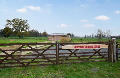 Llwynog Lodge - Foto 17