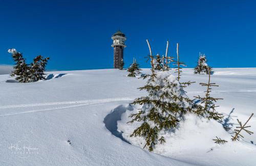Haus Wiesenquelle - Fewo 14 "Timeout", Feldberg - Foto 28