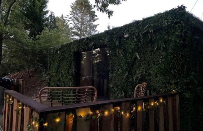 Luxury Cabin in the Woods - Foto 10