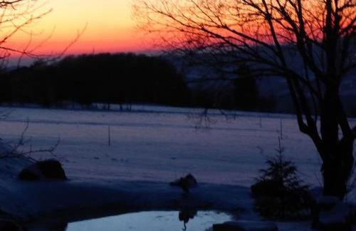 Wild Life Ranch - Foto 39