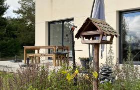 Au gré des oiseaux - Photo 16