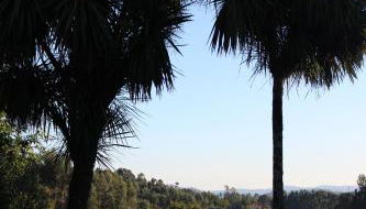 Cazal Da Lamella - Foto 4