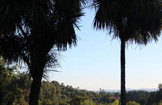 Cazal Da Lamella - Foto 4