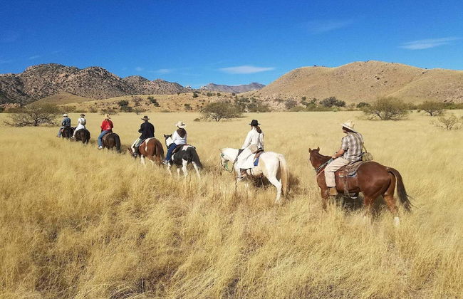 Double R Guest Ranch - Photo 20