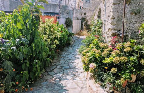 Traditional village house - Foto 17