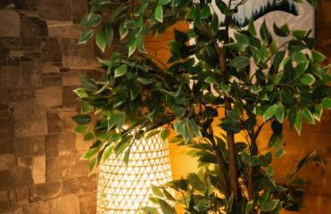 L'Étoile du Linga - Foto 8