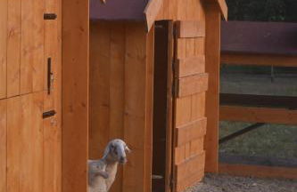 Podere delle Fanciulle - Foto 56