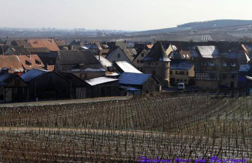 Plein Sud vue sur les Vosges et le vignoble - Foto 36