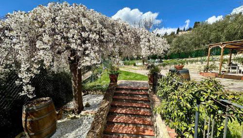 Agriturismo Tassinaia - Foto 3, Garden