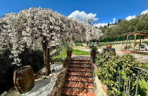 Agriturismo Tassinaia - Foto 3