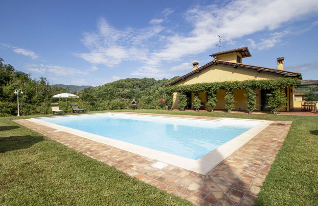 Corbezzolo - Foto 35