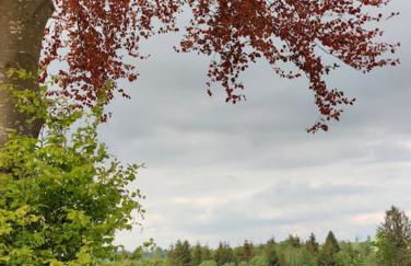 große Wohnung mit Dachterrasse - Foto 26