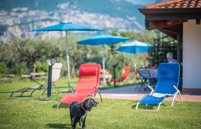 Agriturismo Trefrutti - Foto 44