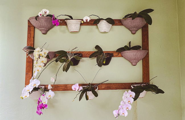 Casa confortável com churrasqueira na Granja Viana - Foto 34