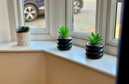 15 Off Last Min Business Leisure WiFi Parking Rugby - Foto 36