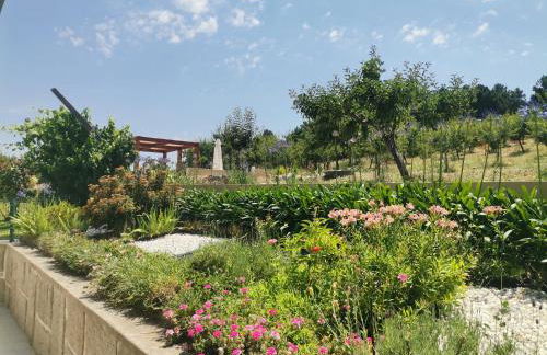 Quinta do Retiro - Foto 12