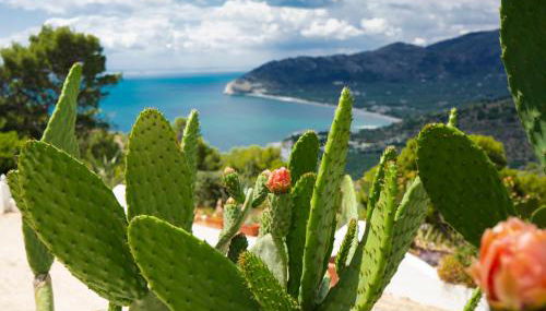 Casa Molo 13 - Foto 3