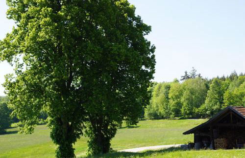 Ferienwohnungen Paukner - Foto 19