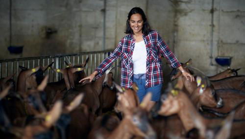 Agriturismo Deviscio - Photo 4