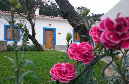 Quinta da Idalina - Foto 58