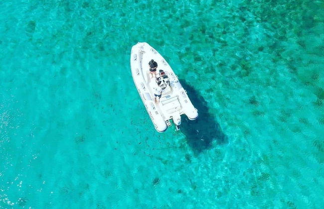 Snorkeling dans le parc naturel de Porto Conte - Photo 7