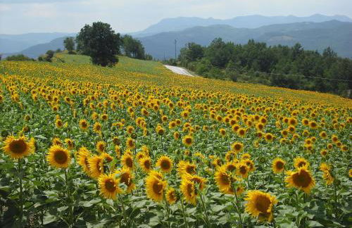 Appealing Apartment in Petrella Guidi With Near Centre - Foto 146