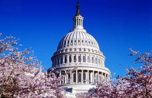 Luxury 3BR & Parking in Central DC - Steps to Metro - Foto 28