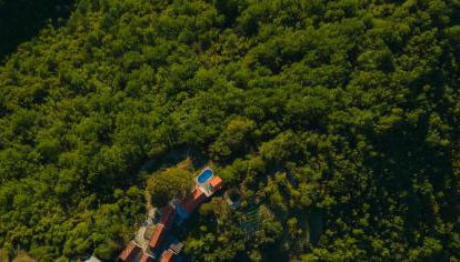 Dalmatian Green Peak - Foto 3