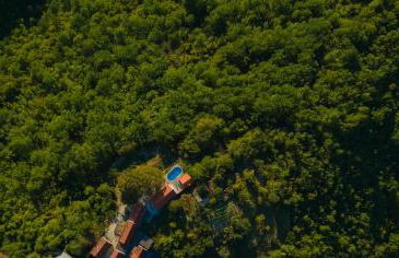 Dalmatian Green Peak - Foto 3